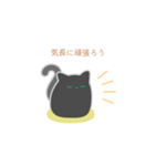 まんじゅうみたいな猫-気遣い-（個別スタンプ：6）