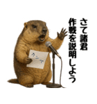 マーモット盛り合わせ 3（個別スタンプ：1）