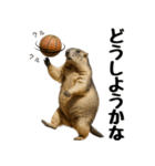 マーモット盛り合わせ 3（個別スタンプ：7）