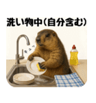 マーモット盛り合わせ 3（個別スタンプ：22）