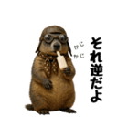 マーモット盛り合わせ 3（個別スタンプ：28）