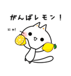 しにゃんこスタンプ 第12弾〜ダジャレ編〜（個別スタンプ：34）