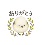 ふわもこシマエナガ*北欧気分【日常会話】（個別スタンプ：5）
