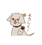 パーティー！おのみちわんこ てるき（個別スタンプ：1）