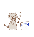パーティー！おのみちわんこ てるき（個別スタンプ：5）
