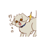 パーティー！おのみちわんこ てるき（個別スタンプ：8）