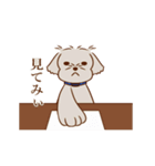 パーティー！おのみちわんこ てるき（個別スタンプ：14）