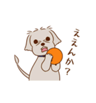 パーティー！おのみちわんこ てるき（個別スタンプ：18）