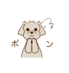 パーティー！おのみちわんこ てるき（個別スタンプ：19）