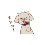 パーティー！おのみちわんこ てるき（個別スタンプ：20）
