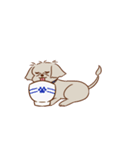 パーティー！おのみちわんこ てるき（個別スタンプ：22）