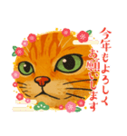 ChatoranoNekosama（個別スタンプ：14）