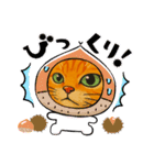 ChatoranoNekosama（個別スタンプ：31）