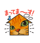 ChatoranoNekosama（個別スタンプ：34）