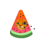 ChatoranoNekosama（個別スタンプ：37）