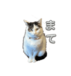 もなかのもんちゃん2（個別スタンプ：4）