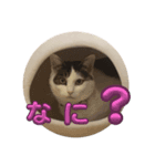 もなかのもんちゃん2（個別スタンプ：5）