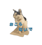 もなかのもんちゃん2（個別スタンプ：7）