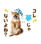 毎日使える！感情ゆたかでかわいい柴犬（個別スタンプ：15）
