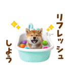 毎日使える！感情ゆたかでかわいい柴犬（個別スタンプ：21）