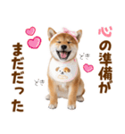 毎日使える！感情ゆたかでかわいい柴犬（個別スタンプ：27）