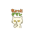 ガチギレねこ（個別スタンプ：16）