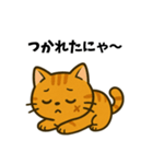傷猫シリーズ【パート1】」（個別スタンプ：6）