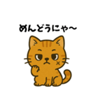 傷猫シリーズ【パート1】」（個別スタンプ：11）