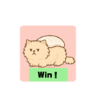 猫にぎり寿司2（個別スタンプ：11）