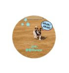 愛犬レオ。（個別スタンプ：4）