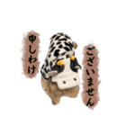うちのむぎ002（個別スタンプ：4）