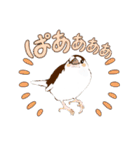 ジュウシマツ！使いやすいスタンプ1（個別スタンプ：2）