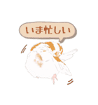 ジュウシマツ！使いやすいスタンプ1（個別スタンプ：4）