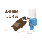 ジュウシマツ！使いやすいスタンプ1（個別スタンプ：5）