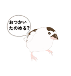 ジュウシマツ！使いやすいスタンプ1（個別スタンプ：7）