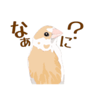 ジュウシマツ！使いやすいスタンプ1（個別スタンプ：9）