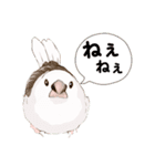 ジュウシマツ！使いやすいスタンプ1（個別スタンプ：12）