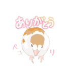 ジュウシマツ！使いやすいスタンプ1（個別スタンプ：14）