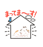ジュウシマツ！使いやすいスタンプ1（個別スタンプ：24）