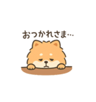 気だるげポメラニアン（個別スタンプ：1）
