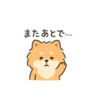 気だるげポメラニアン（個別スタンプ：3）