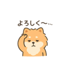 気だるげポメラニアン（個別スタンプ：4）