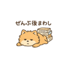 気だるげポメラニアン（個別スタンプ：11）