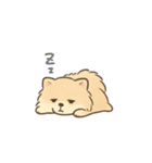 気だるげポメラニアン（個別スタンプ：13）