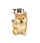 わが家のほたる（個別スタンプ：2）