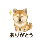 わが家のほたる（個別スタンプ：3）