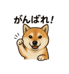 わが家のほたる（個別スタンプ：5）