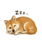 わが家のほたる（個別スタンプ：7）