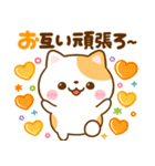 ねこねこにゃんこ♡思いやりメッセージ（個別スタンプ：9）