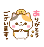 ねこねこにゃんこ♡思いやりメッセージ（個別スタンプ：10）